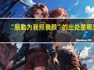 “殷勤为我照衰颜”的出处是哪里