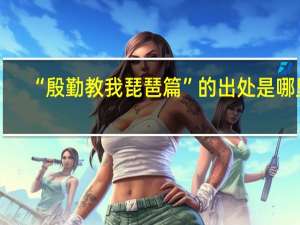 “殷勤教我琵琶篇”的出处是哪里