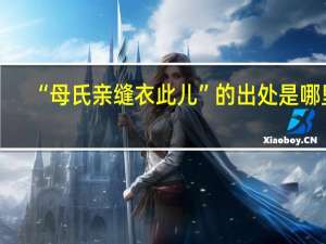 “母氏亲缝衣此儿”的出处是哪里