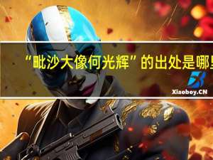 “毗沙大像何光辉”的出处是哪里