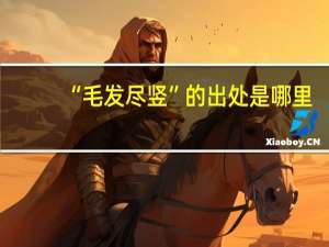 “毛发尽竖”的出处是哪里