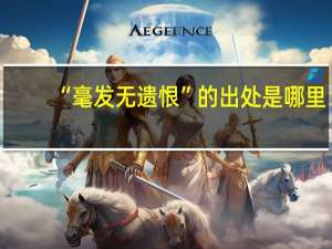 “毫发无遗恨”的出处是哪里