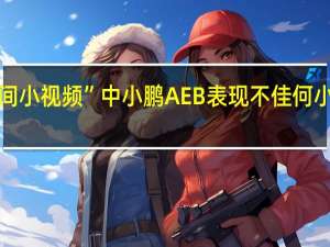 “民间小视频”中小鹏AEB表现不佳何小鹏再发声：友商辛苦了