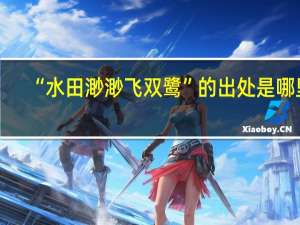 “水田渺渺飞双鹭”的出处是哪里