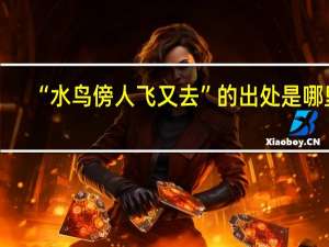 “水鸟傍人飞又去”的出处是哪里