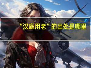 “汉庭用老”的出处是哪里