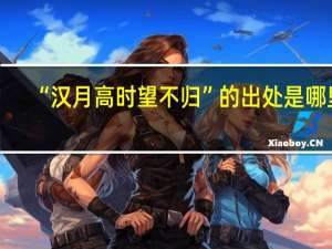“汉月高时望不归”的出处是哪里
