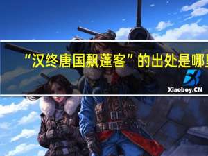 “汉终唐国飘蓬客”的出处是哪里