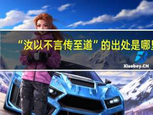 “汝以不言传至道”的出处是哪里
