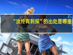 “汝终宵刺探”的出处是哪里