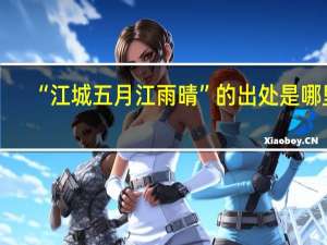 “江城五月江雨晴”的出处是哪里