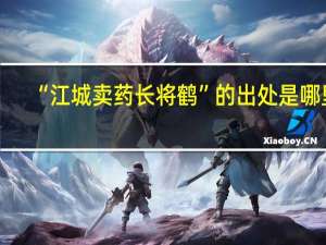 “江城卖药长将鹤”的出处是哪里