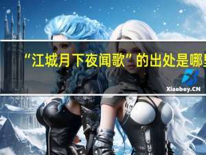 “江城月下夜闻歌”的出处是哪里