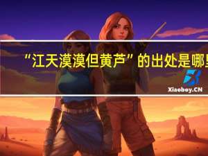 “江天漠漠但黄芦”的出处是哪里
