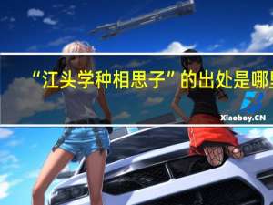 “江头学种相思子”的出处是哪里