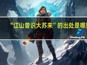 “江山曾识大苏来”的出处是哪里
