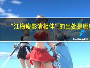 “江梅瘦影清相伴”的出处是哪里