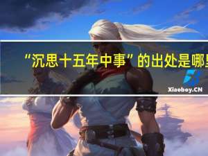 “沉思十五年中事”的出处是哪里