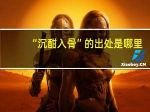 “沉酣入骨”的出处是哪里