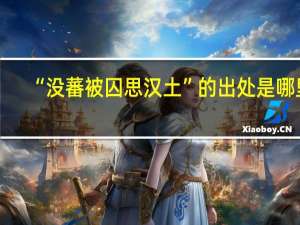 “没蕃被囚思汉土”的出处是哪里