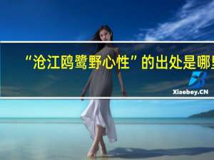 “沧江鸥鹭野心性”的出处是哪里