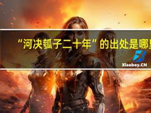 “河决瓠子二十年”的出处是哪里