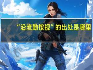 “沿流勤按视”的出处是哪里