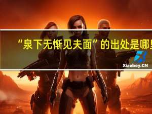 “泉下无惭见夫面”的出处是哪里