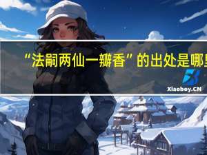 “法嗣两仙一瓣香”的出处是哪里