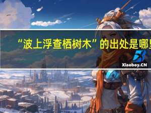 “波上浮查栖树木”的出处是哪里