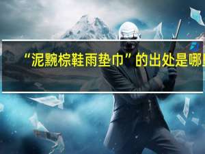 “泥黦棕鞋雨垫巾”的出处是哪里