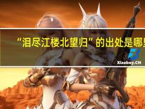 “泪尽江楼北望归”的出处是哪里