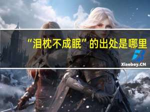 “泪枕不成眠”的出处是哪里