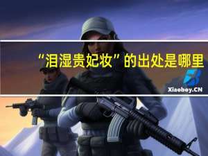 “泪湿贵妃妆”的出处是哪里
