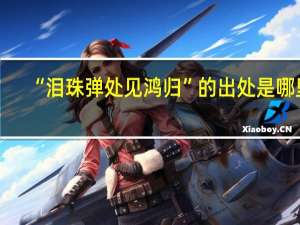 “泪珠弹处见鸿归”的出处是哪里