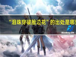 “泪珠穿破脸边花”的出处是哪里
