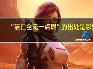 “洁白全无一点瑕”的出处是哪里