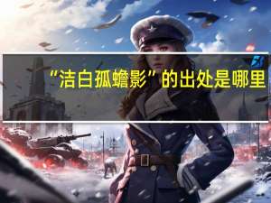 “洁白孤蟾影”的出处是哪里