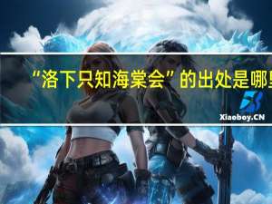 “洛下只知海棠会”的出处是哪里