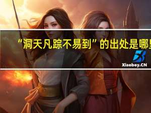 “洞天凡踪不易到”的出处是哪里