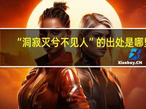 “洞寂灭兮不见人”的出处是哪里