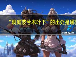 “洞庭波兮木叶下”的出处是哪里