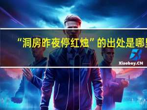 “洞房昨夜停红烛”的出处是哪里