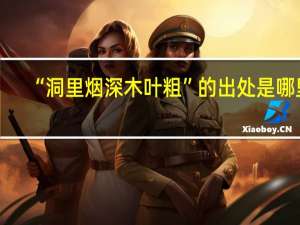 “洞里烟深木叶粗”的出处是哪里