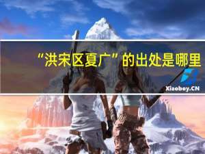 “洪宋区夏广”的出处是哪里