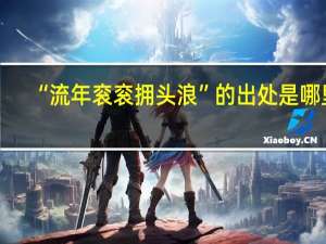 “流年衮衮拥头浪”的出处是哪里