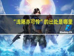 “浅陋亦可怜”的出处是哪里