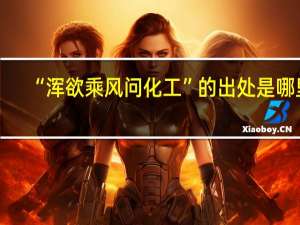 “浑欲乘风问化工”的出处是哪里