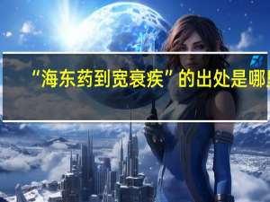 “海东药到宽衰疾”的出处是哪里