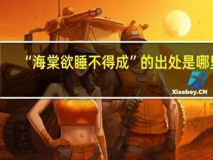 “海棠欲睡不得成”的出处是哪里